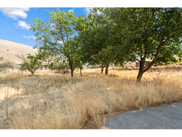 main property photo 32