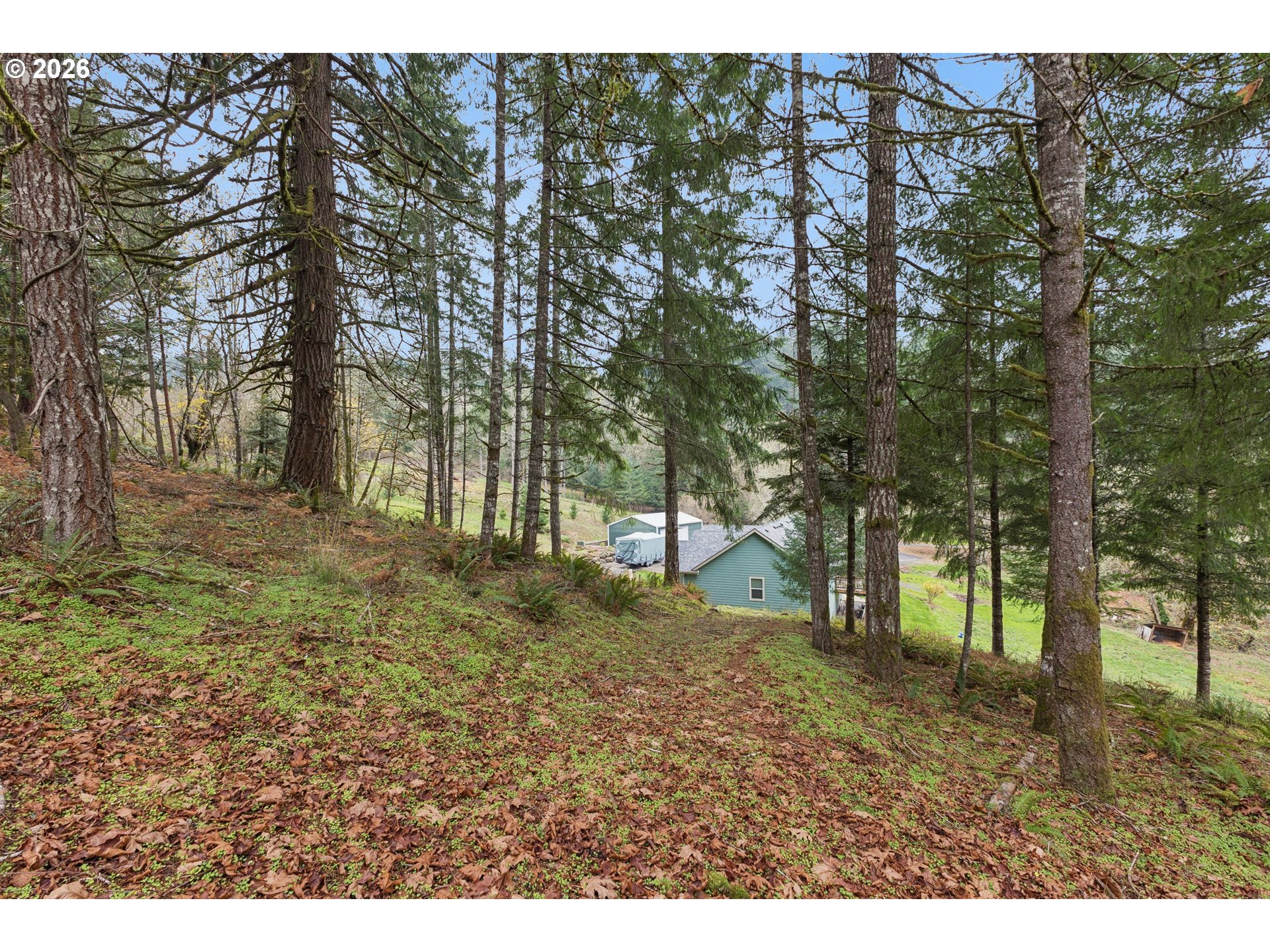 main property photo 21