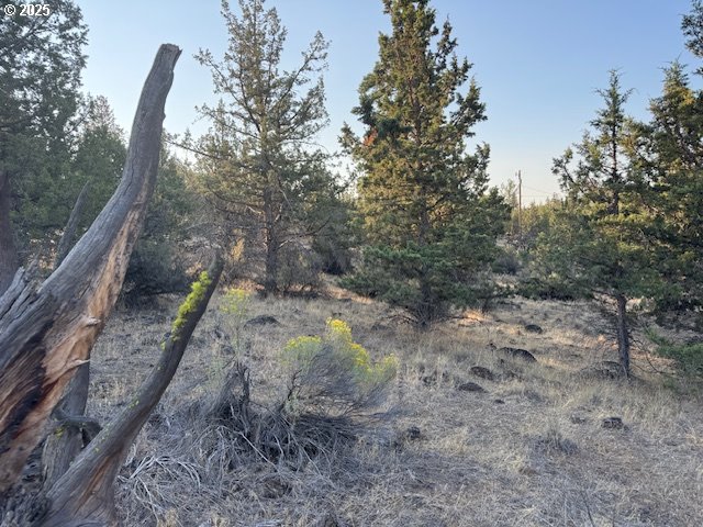 property viewer photo 11
