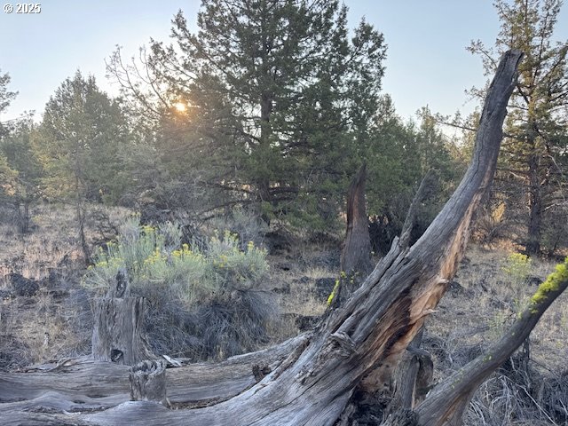 property viewer photo 12
