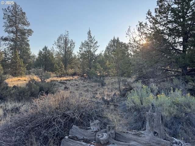 property viewer photo 13
