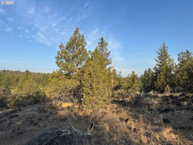 property viewer photo 15