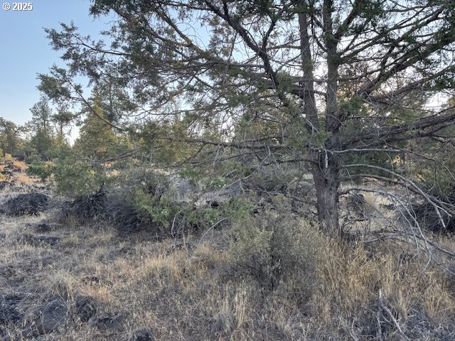 property viewer photo 4