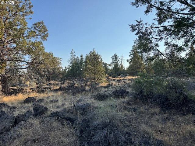 property viewer photo 5