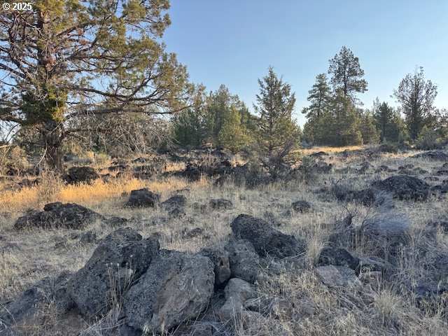 property viewer photo 7