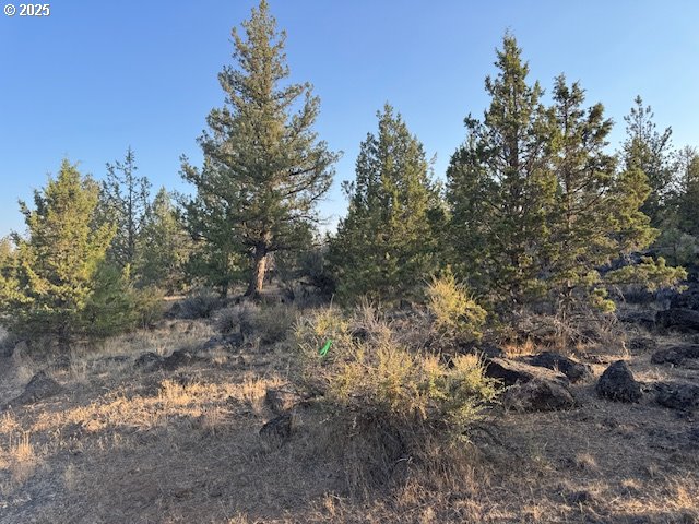 property viewer photo 9