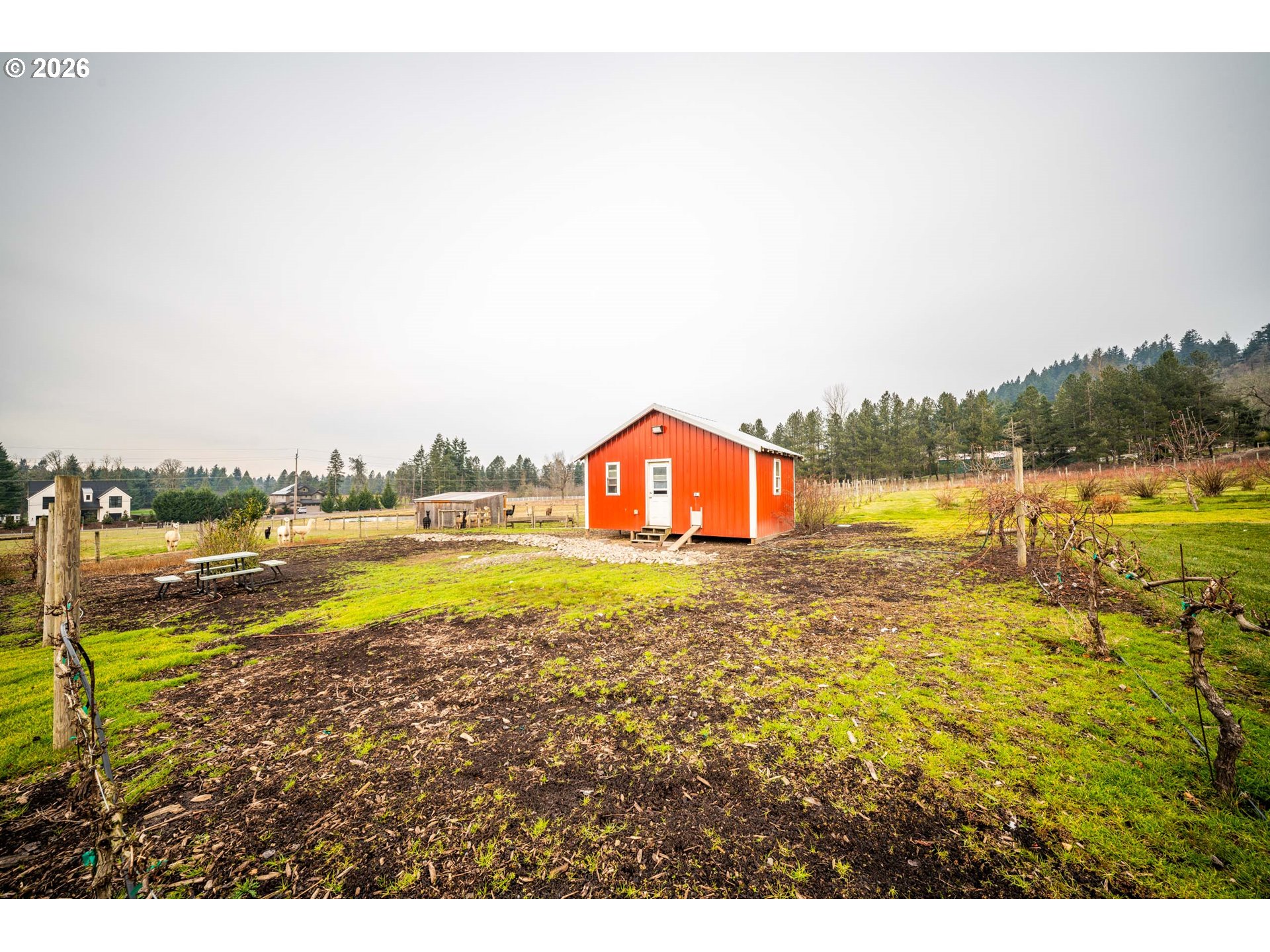 main property photo 21