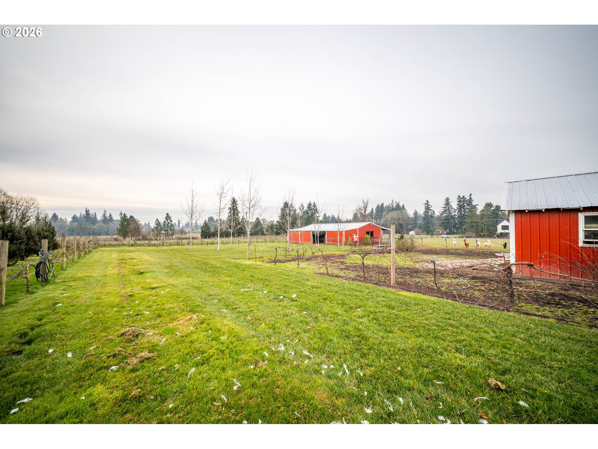 main property photo 22