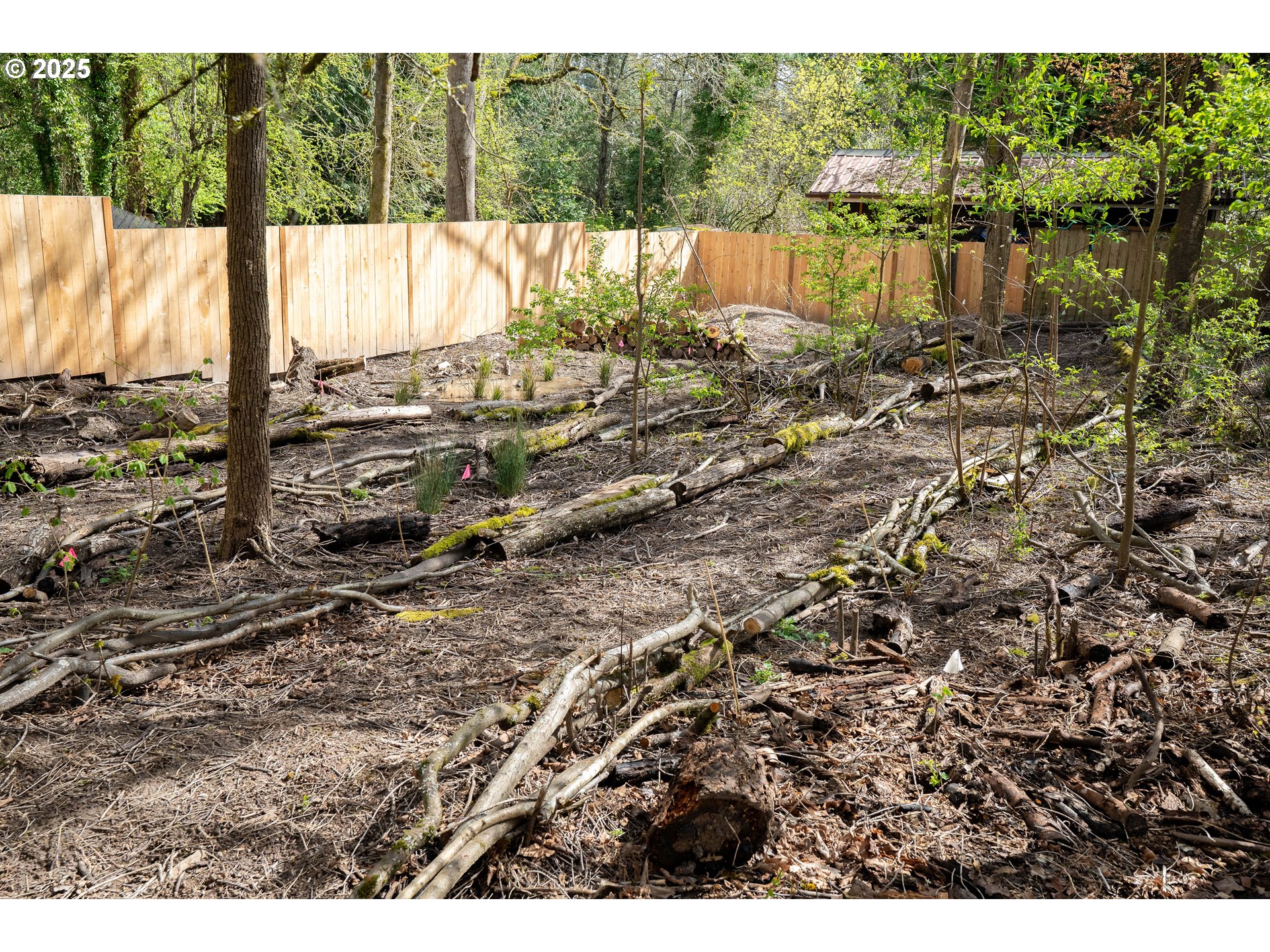 property viewer photo 39