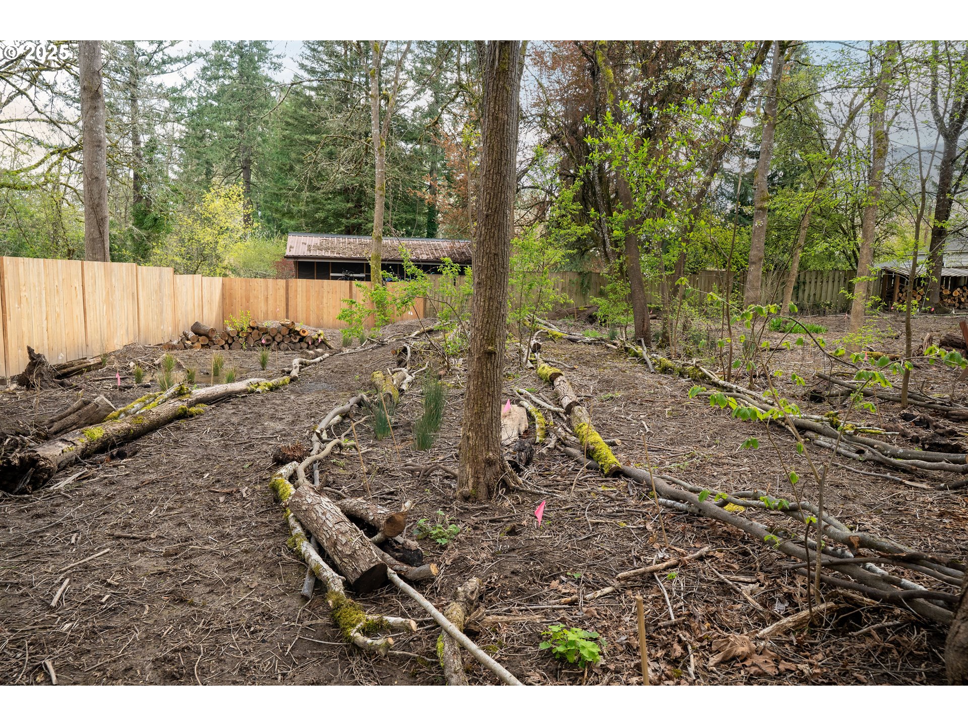 property viewer photo 40