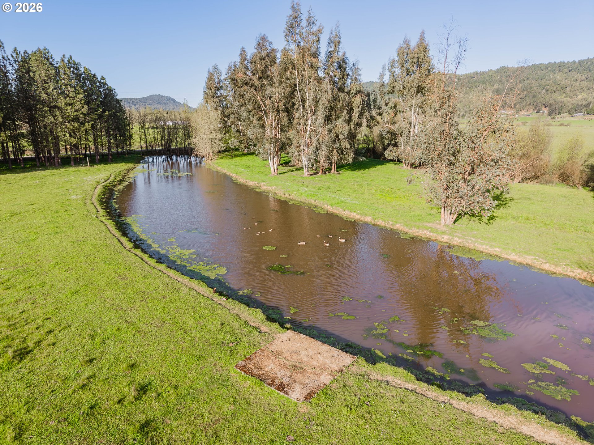main property photo 41