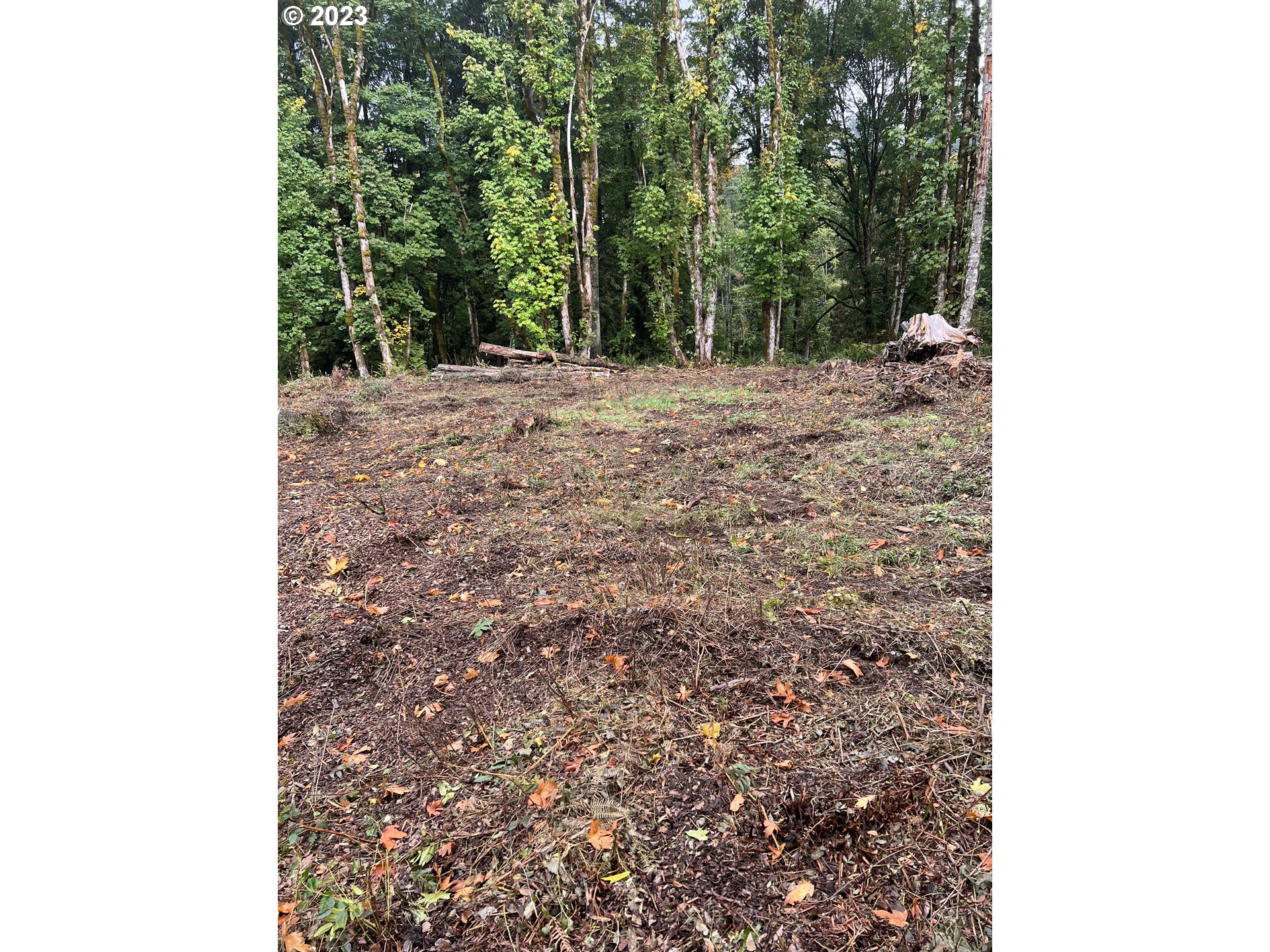 main property photo 16