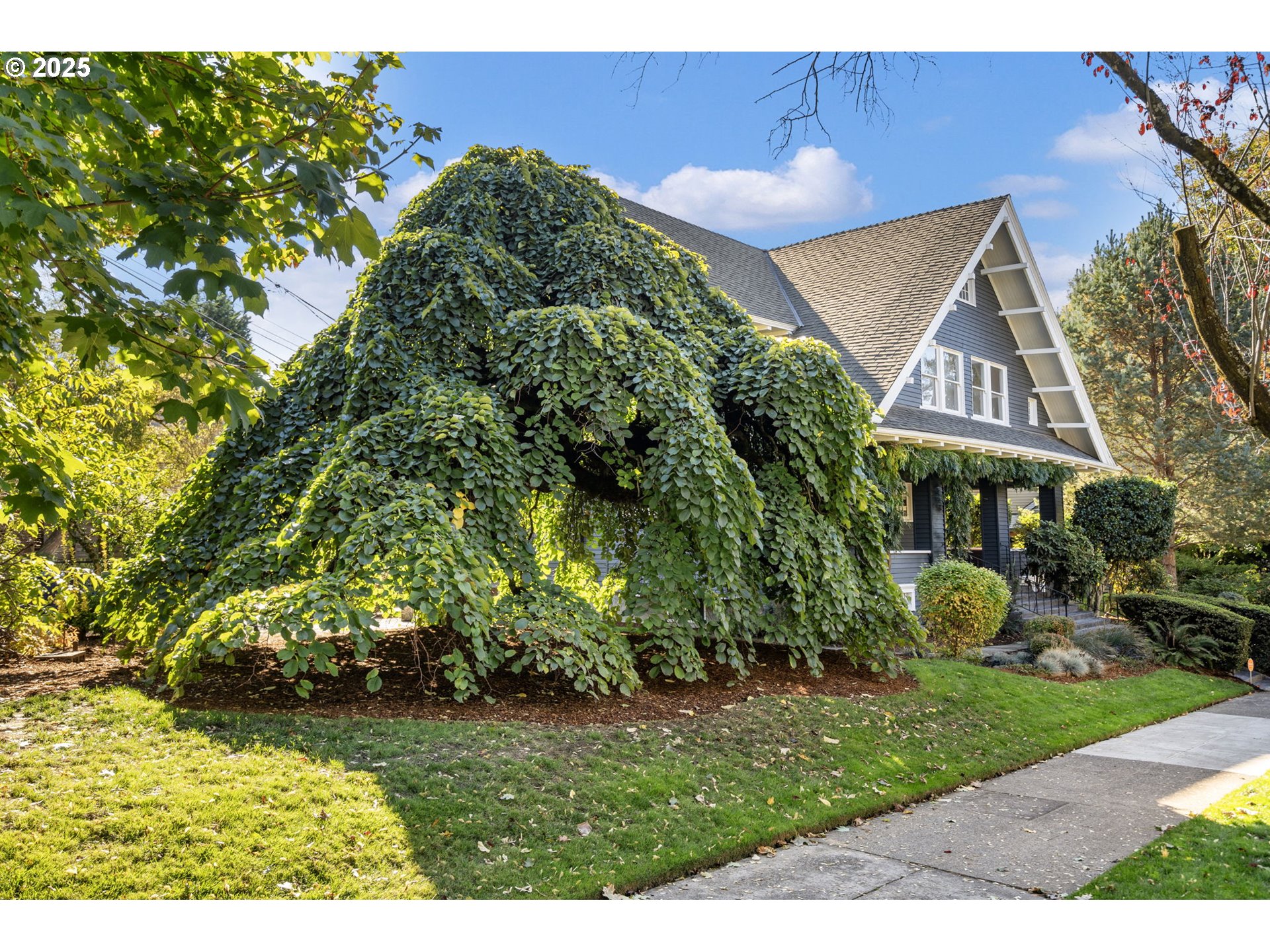 property viewer photo 39
