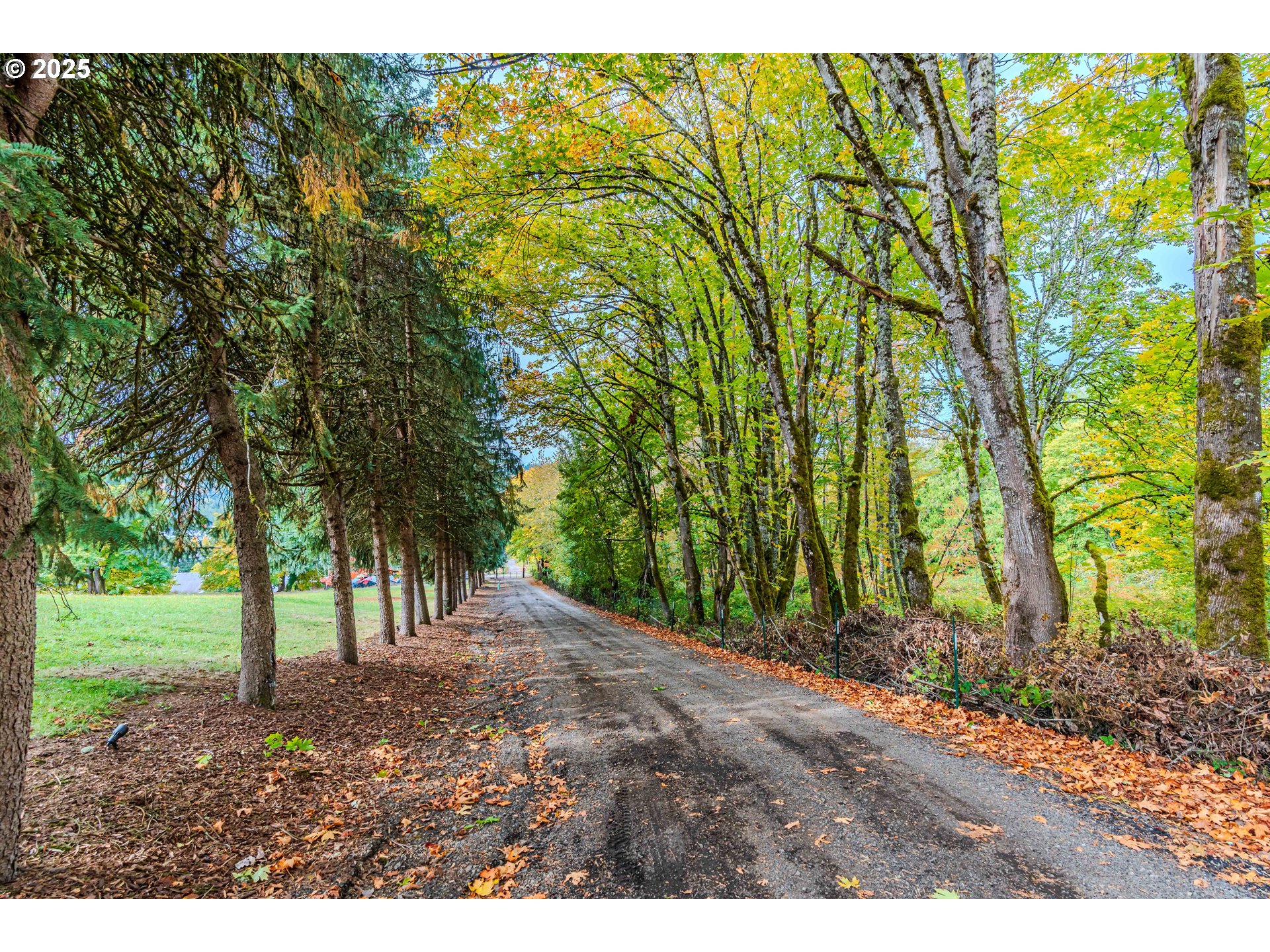 property viewer photo 1