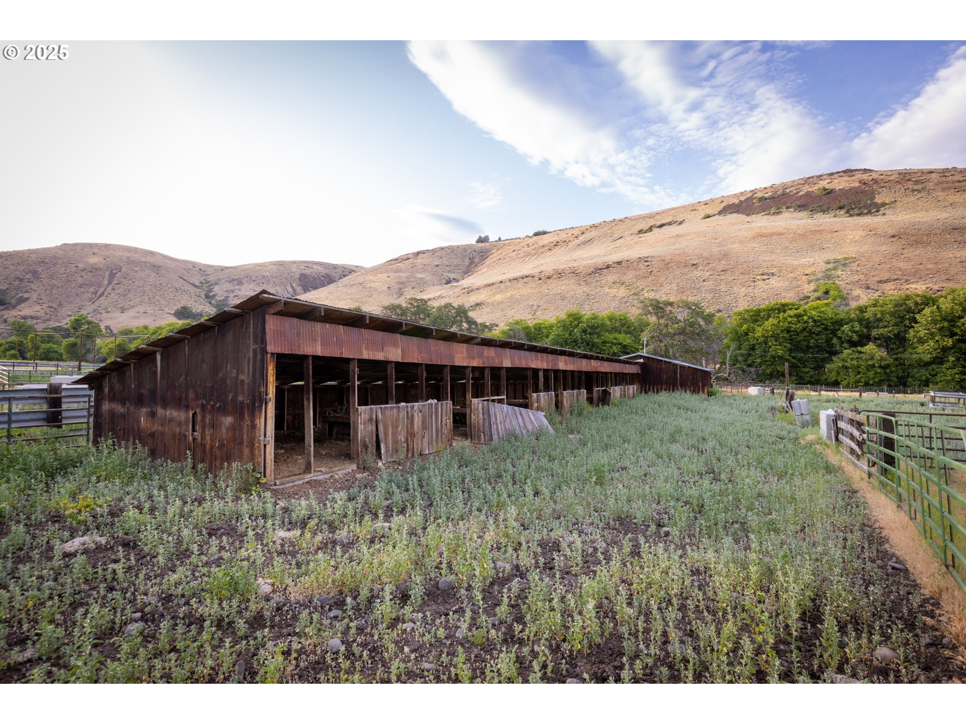main property photo 46