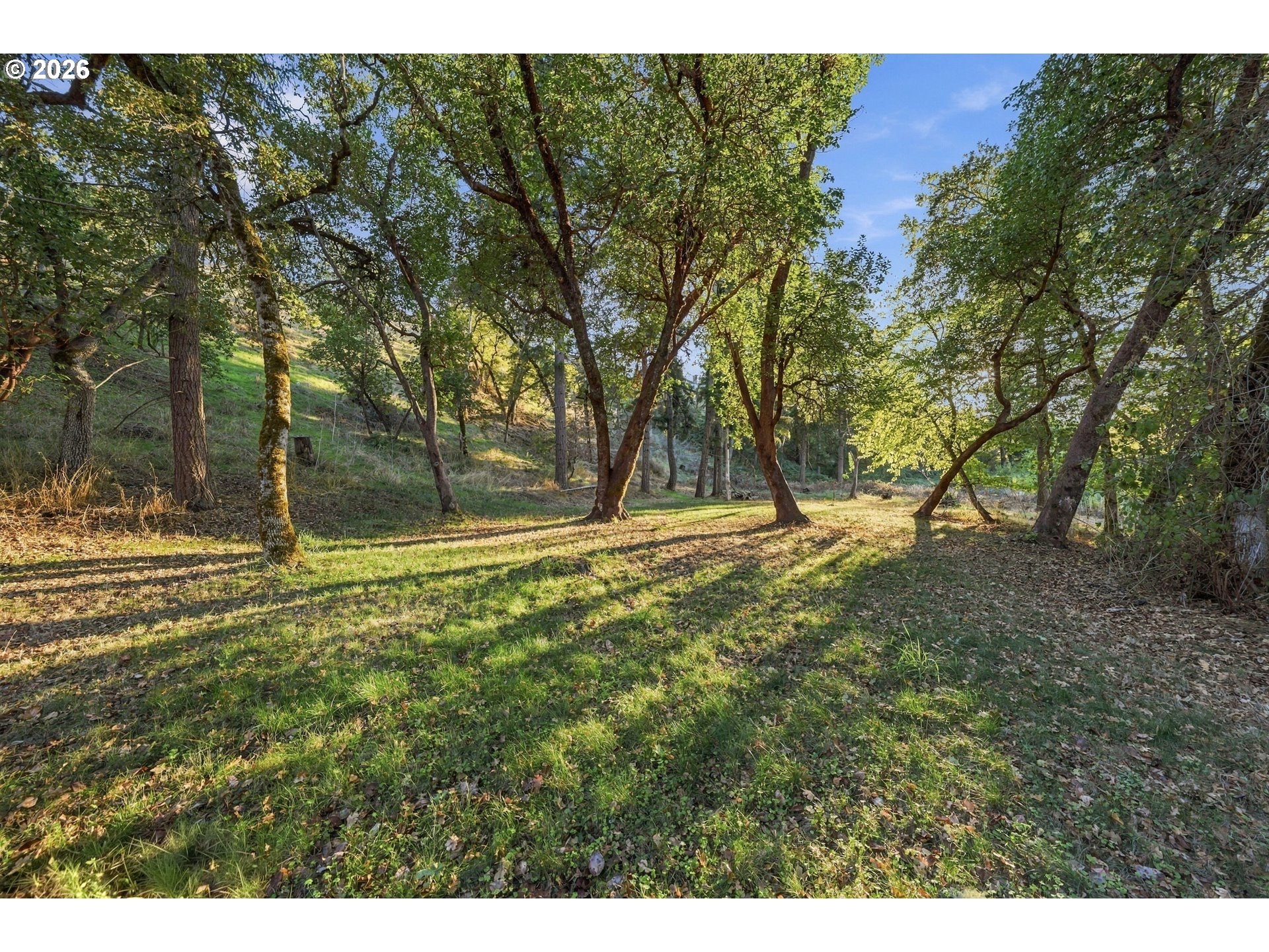 main property photo 45