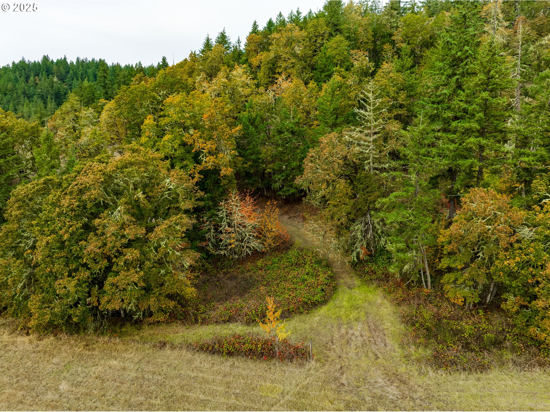property viewer photo 2