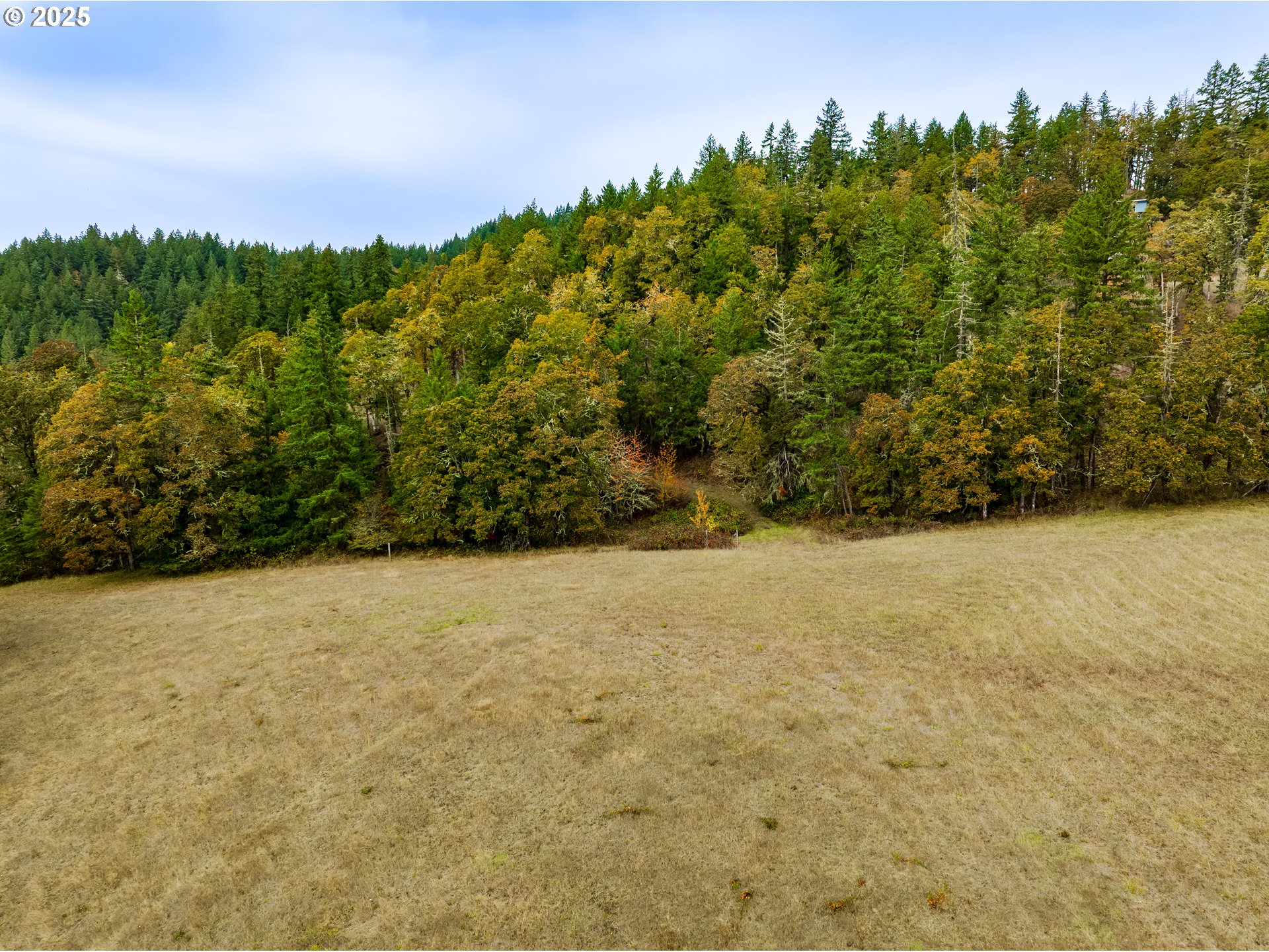 property viewer photo 3