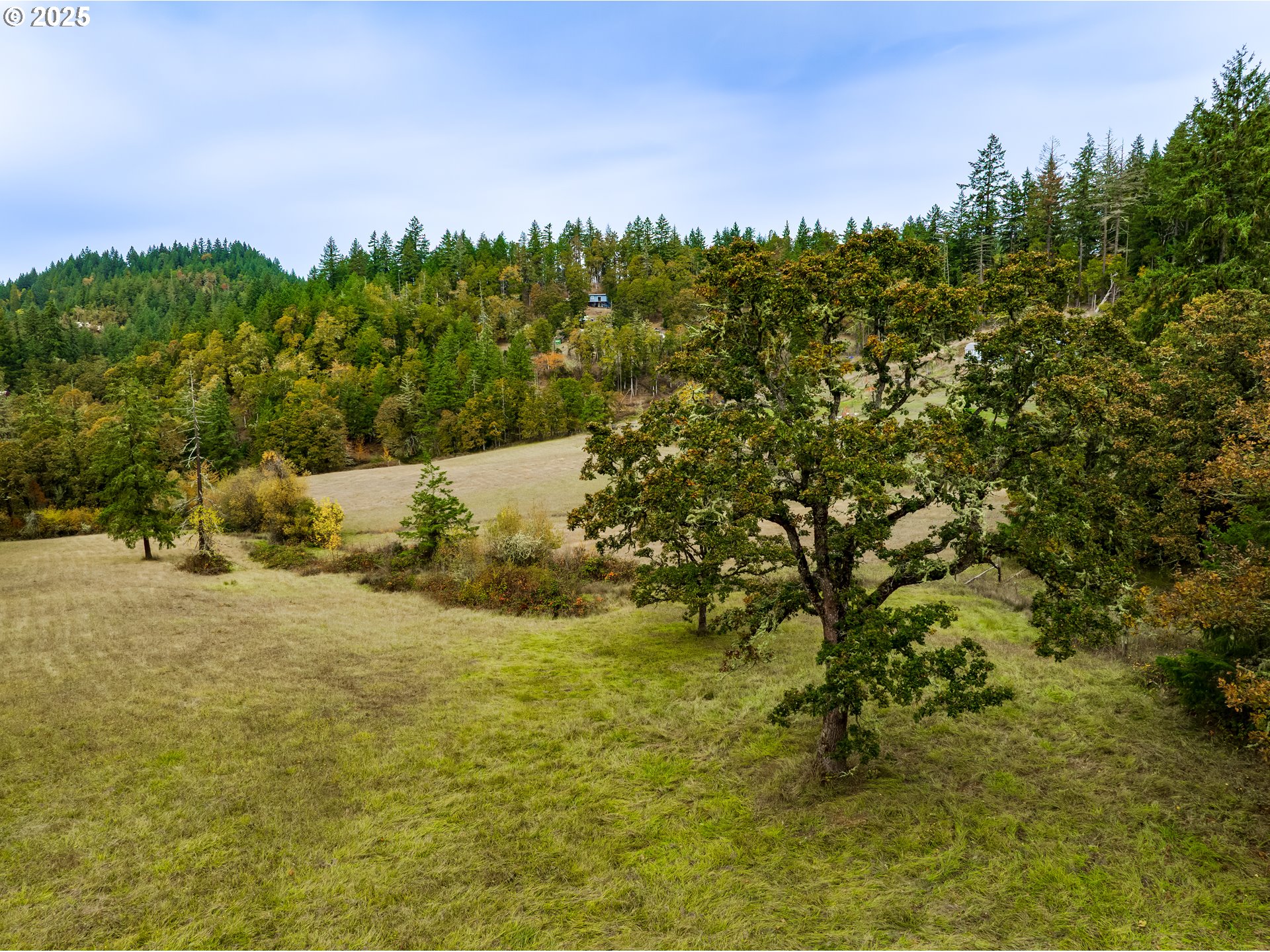 property viewer photo 7