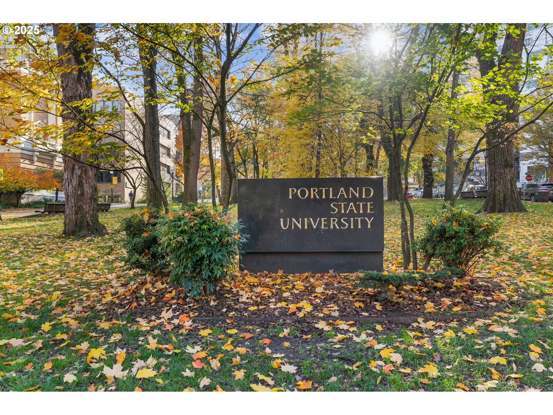 property viewer photo 32