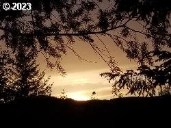property viewer photo 35