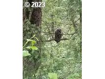property viewer photo 37