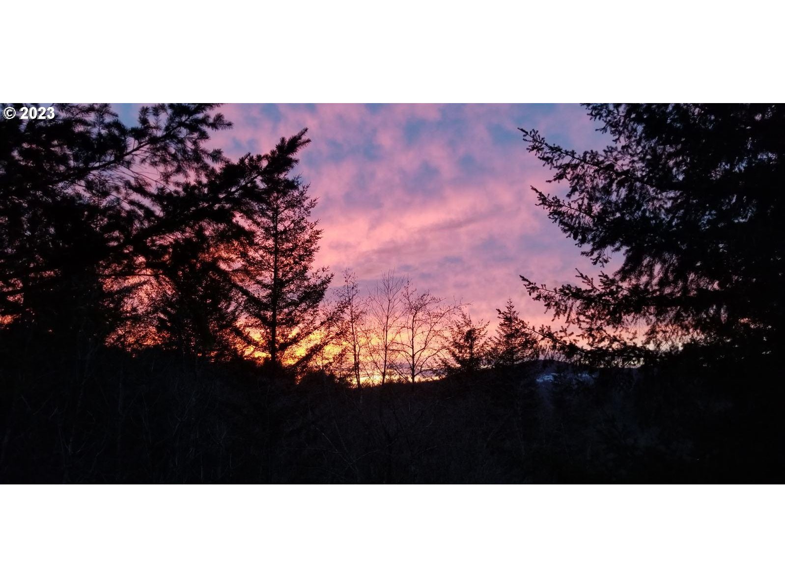 property viewer photo 38