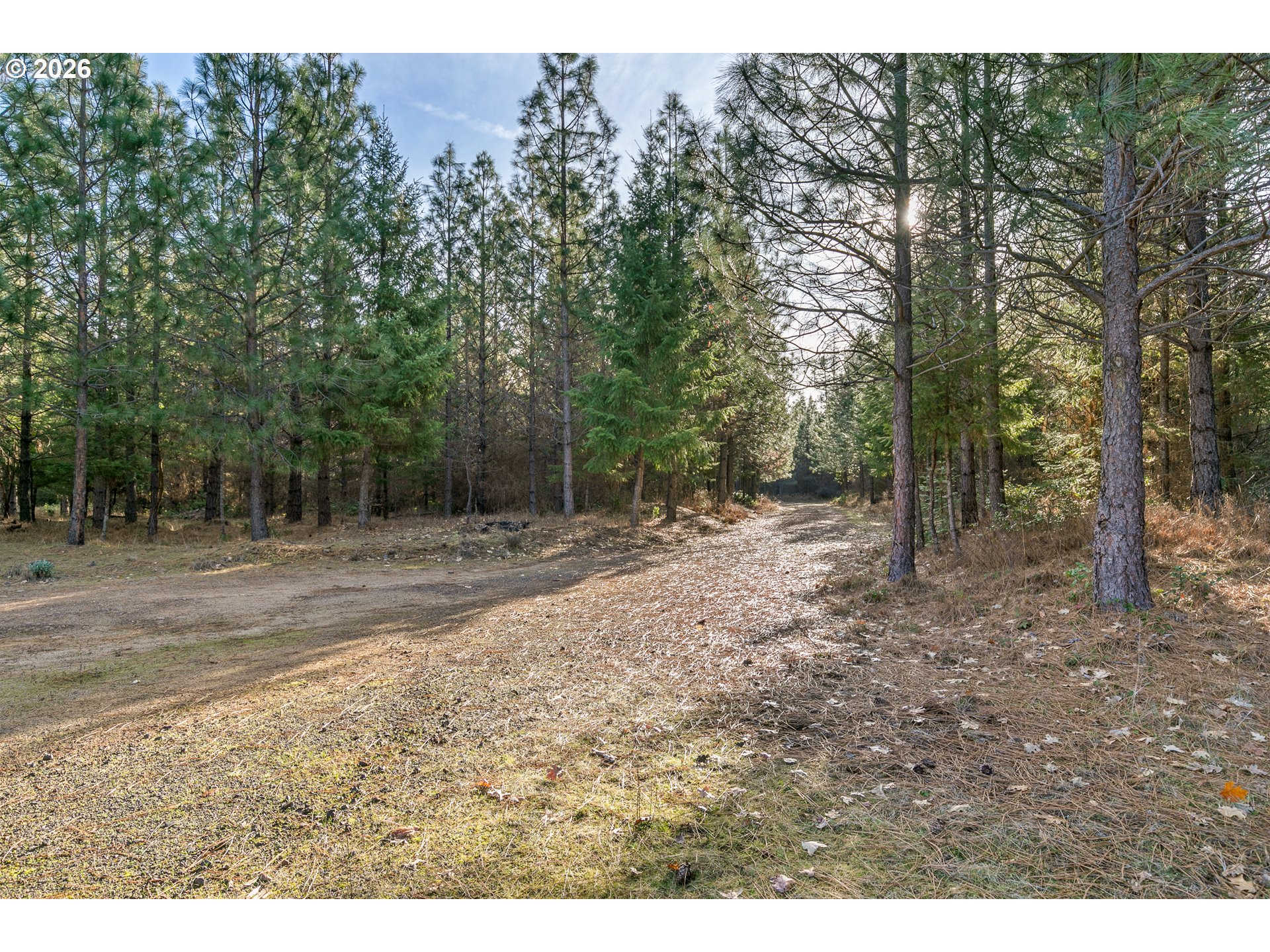property viewer photo 1