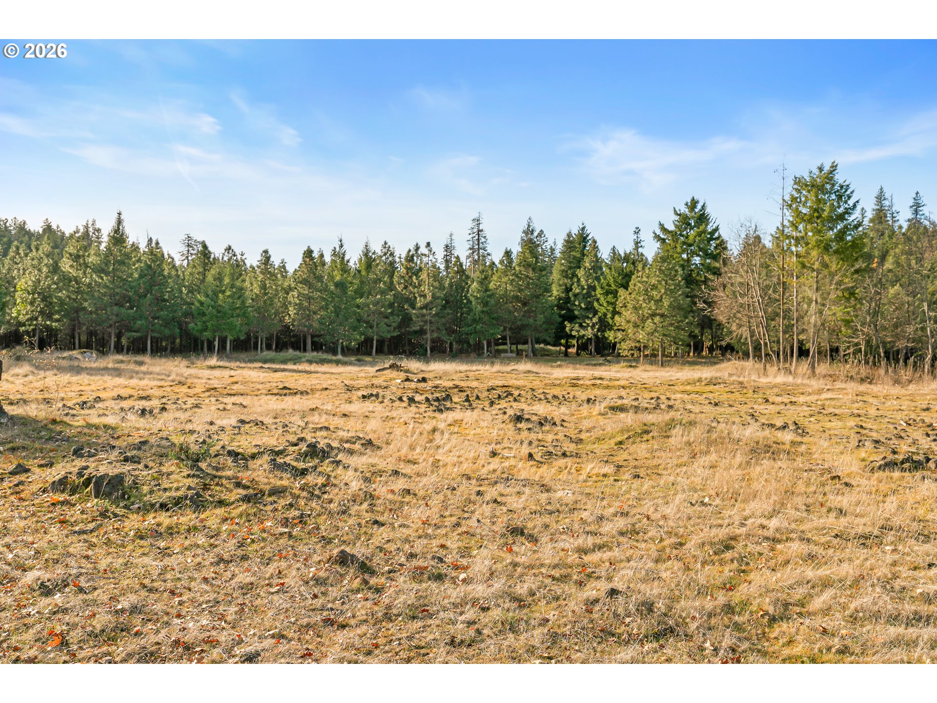 property viewer photo 12