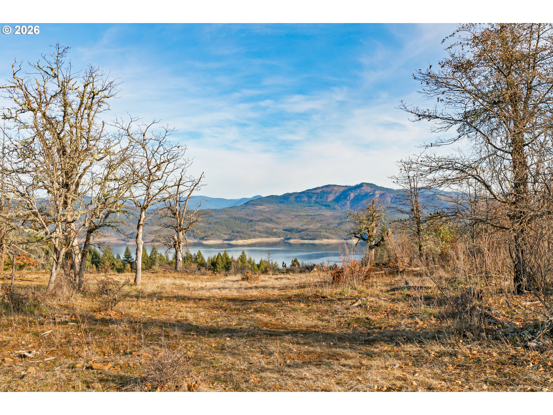 property viewer photo 8