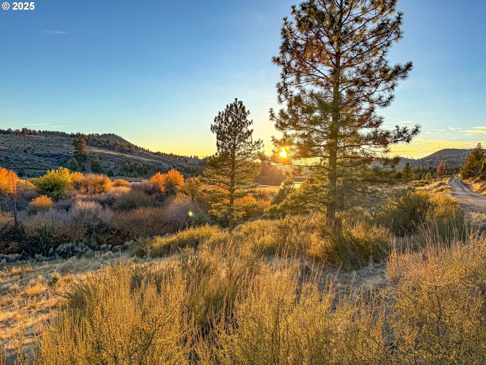 main property photo 46