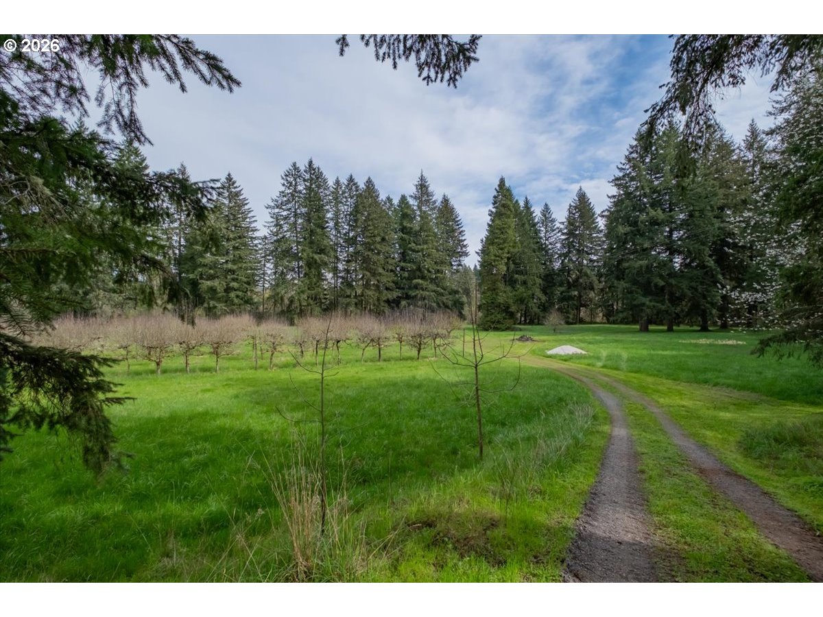 main property photo 45