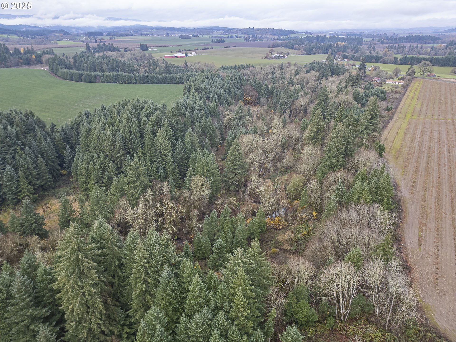 property viewer photo 44