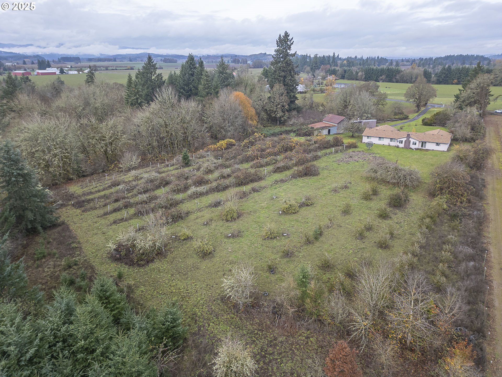 property viewer photo 45