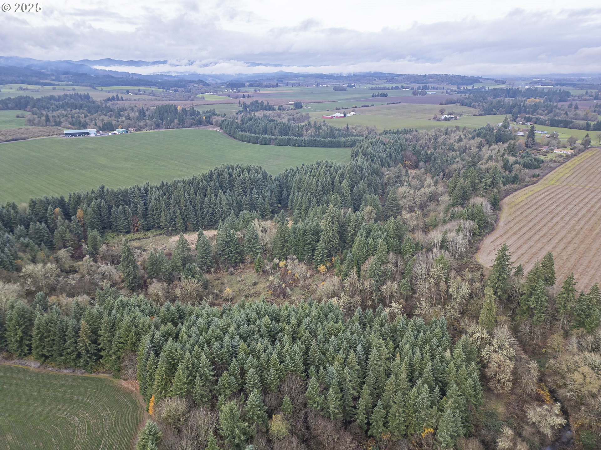 property viewer photo 47