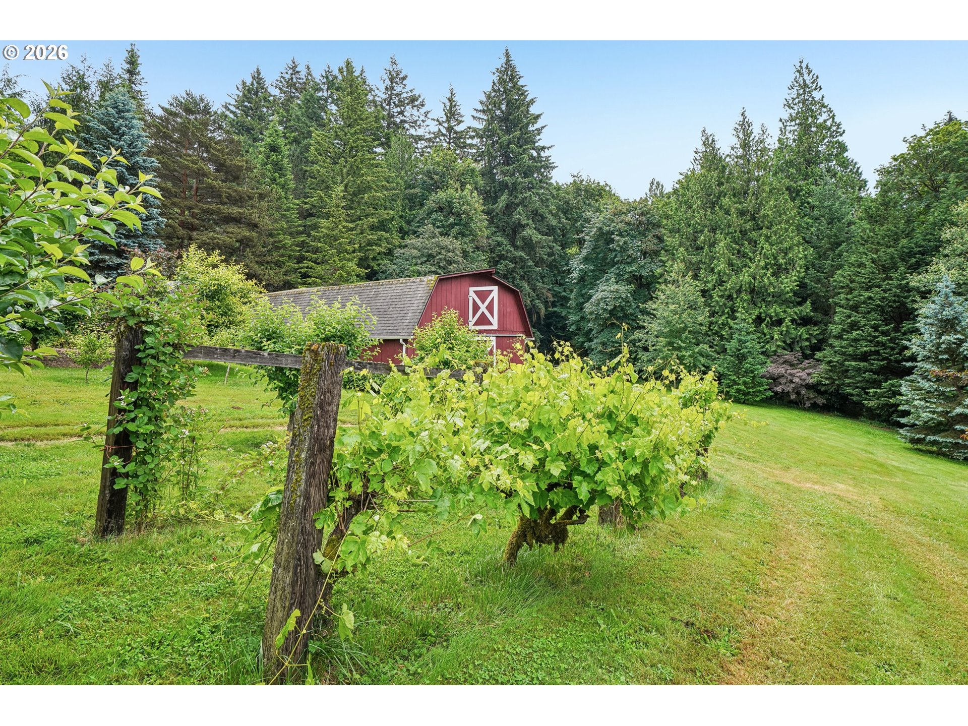 main property photo 40