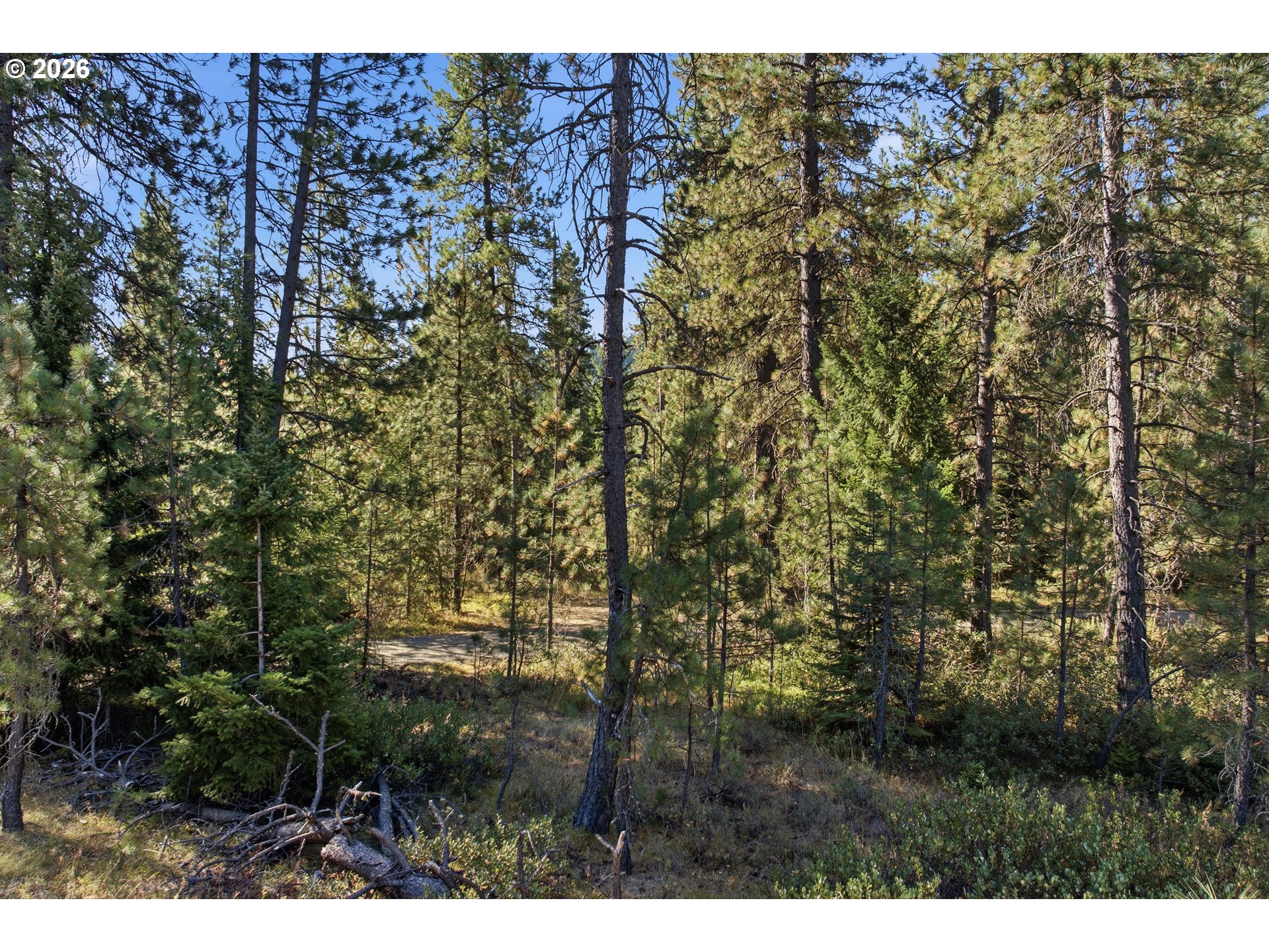 main property photo 43