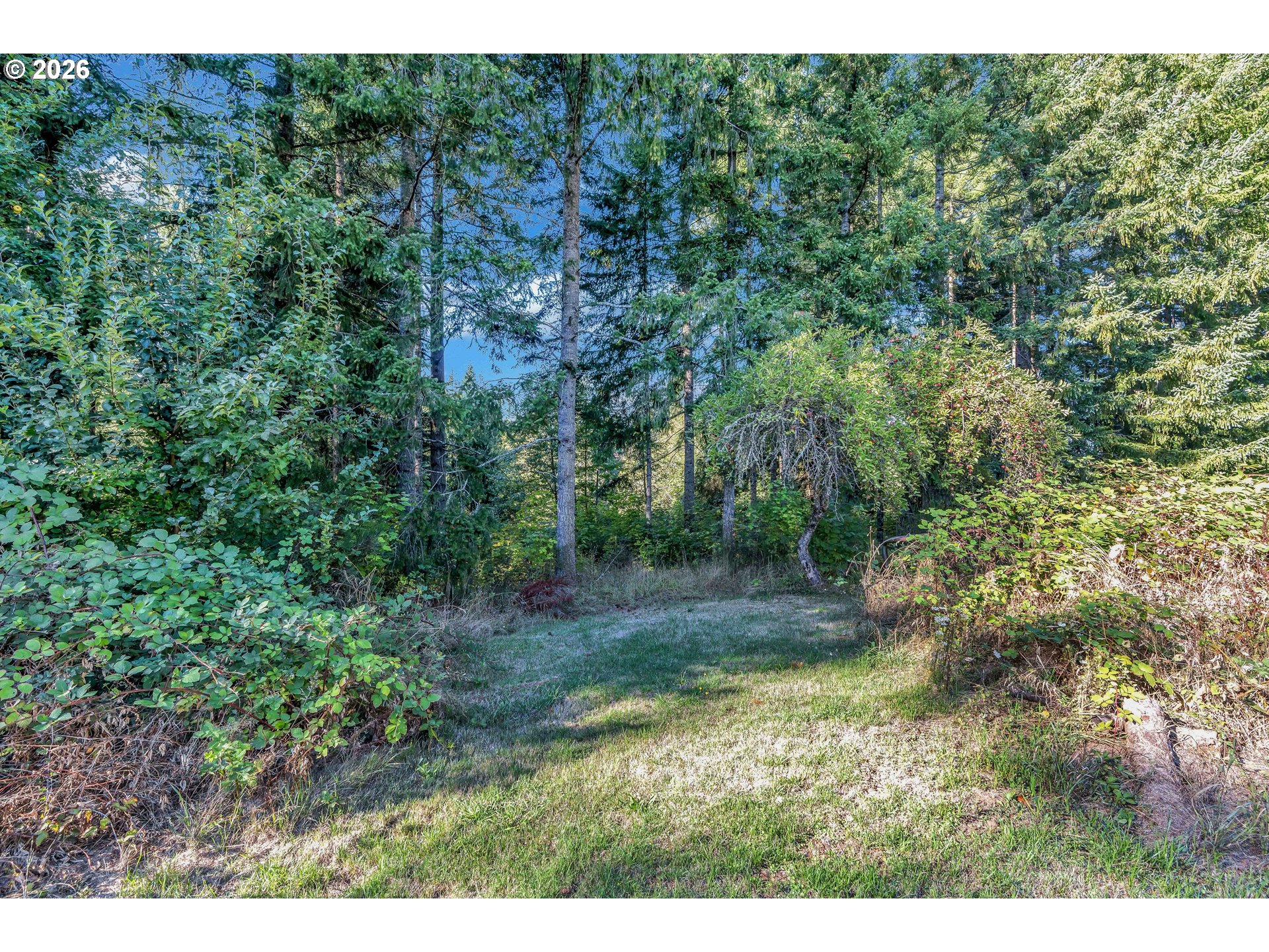 main property photo 44