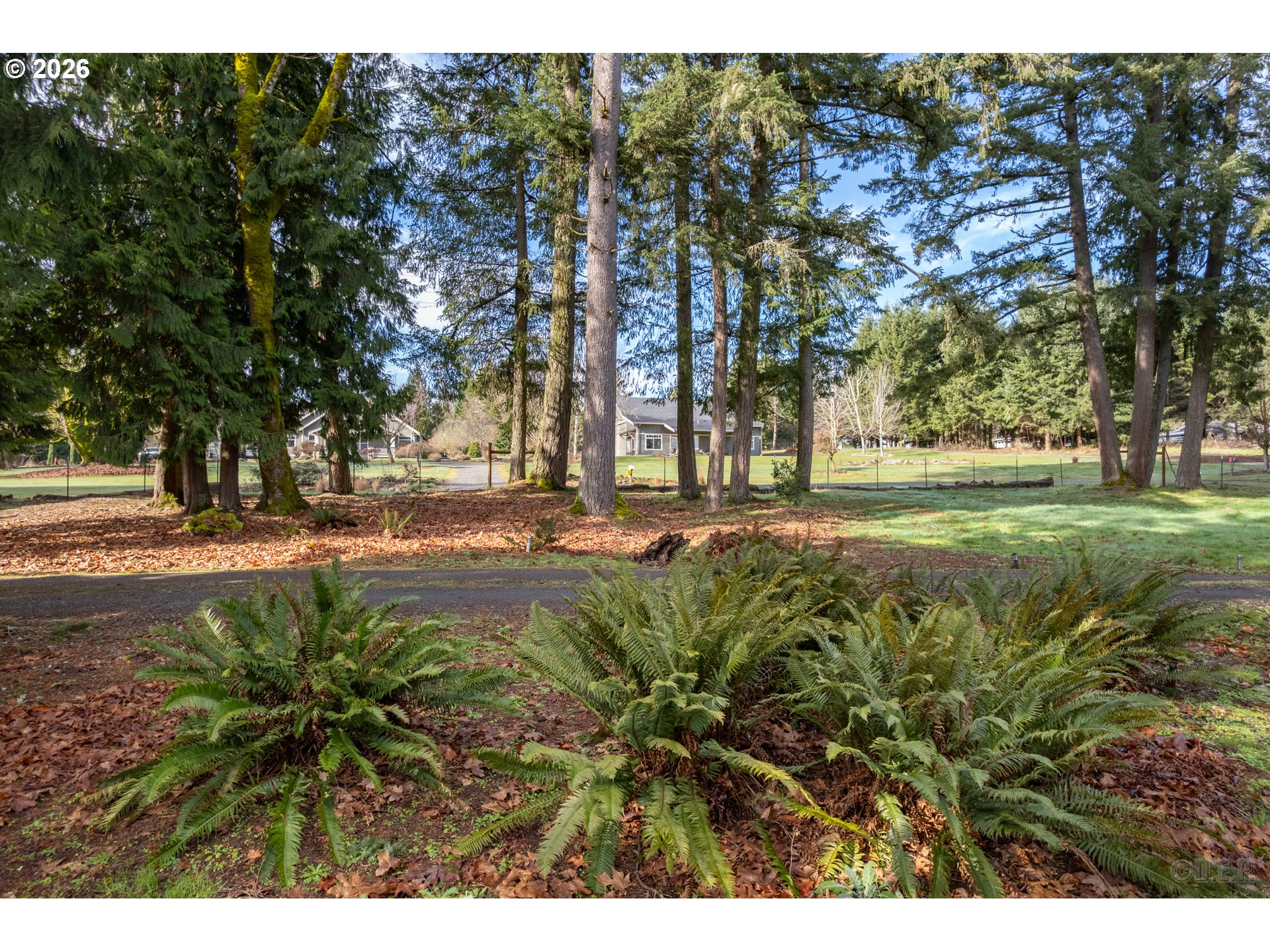 main property photo 30