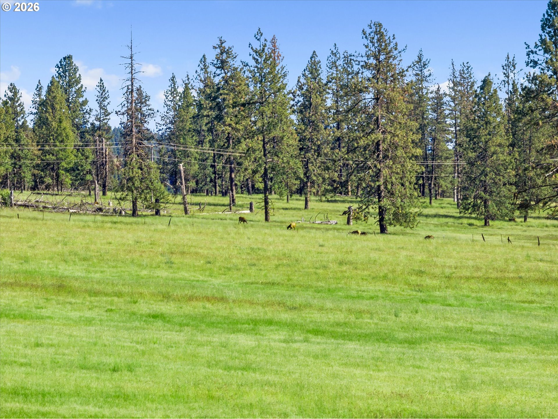 main property photo 20