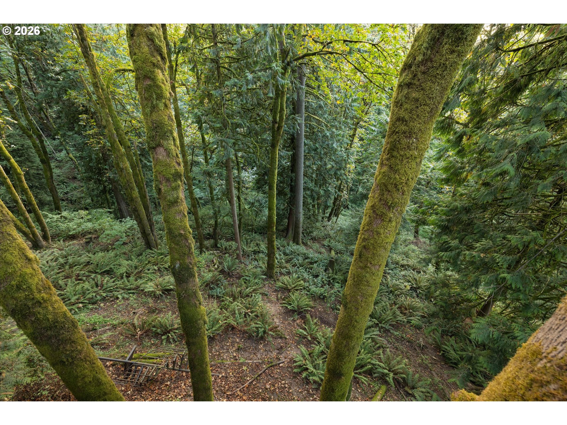 main property photo 45