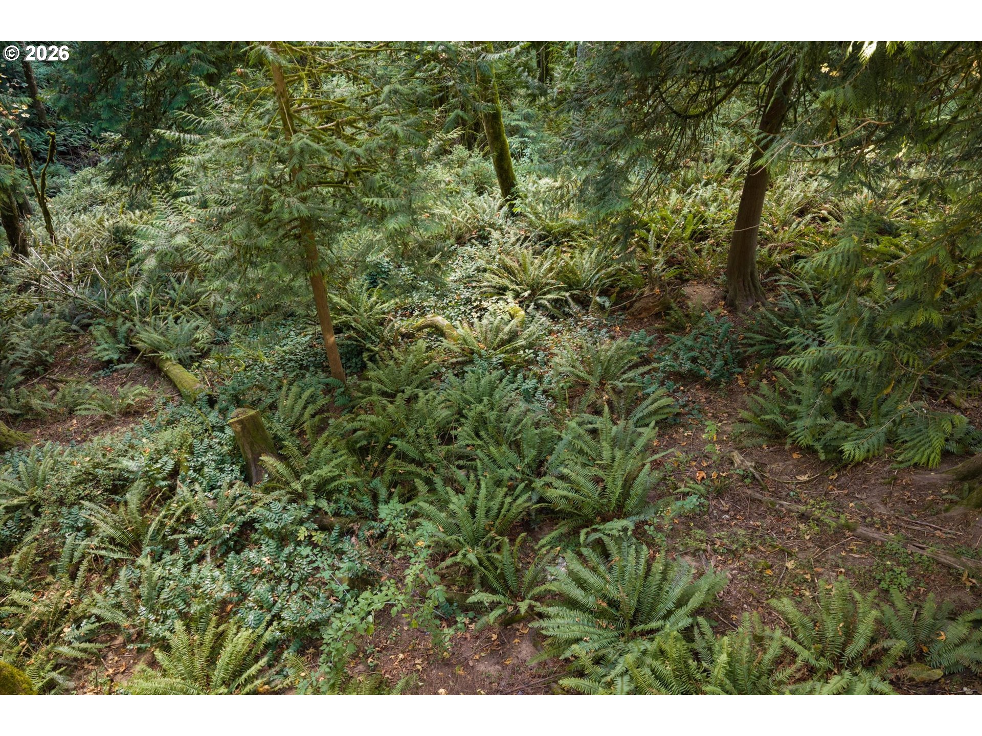 main property photo 46
