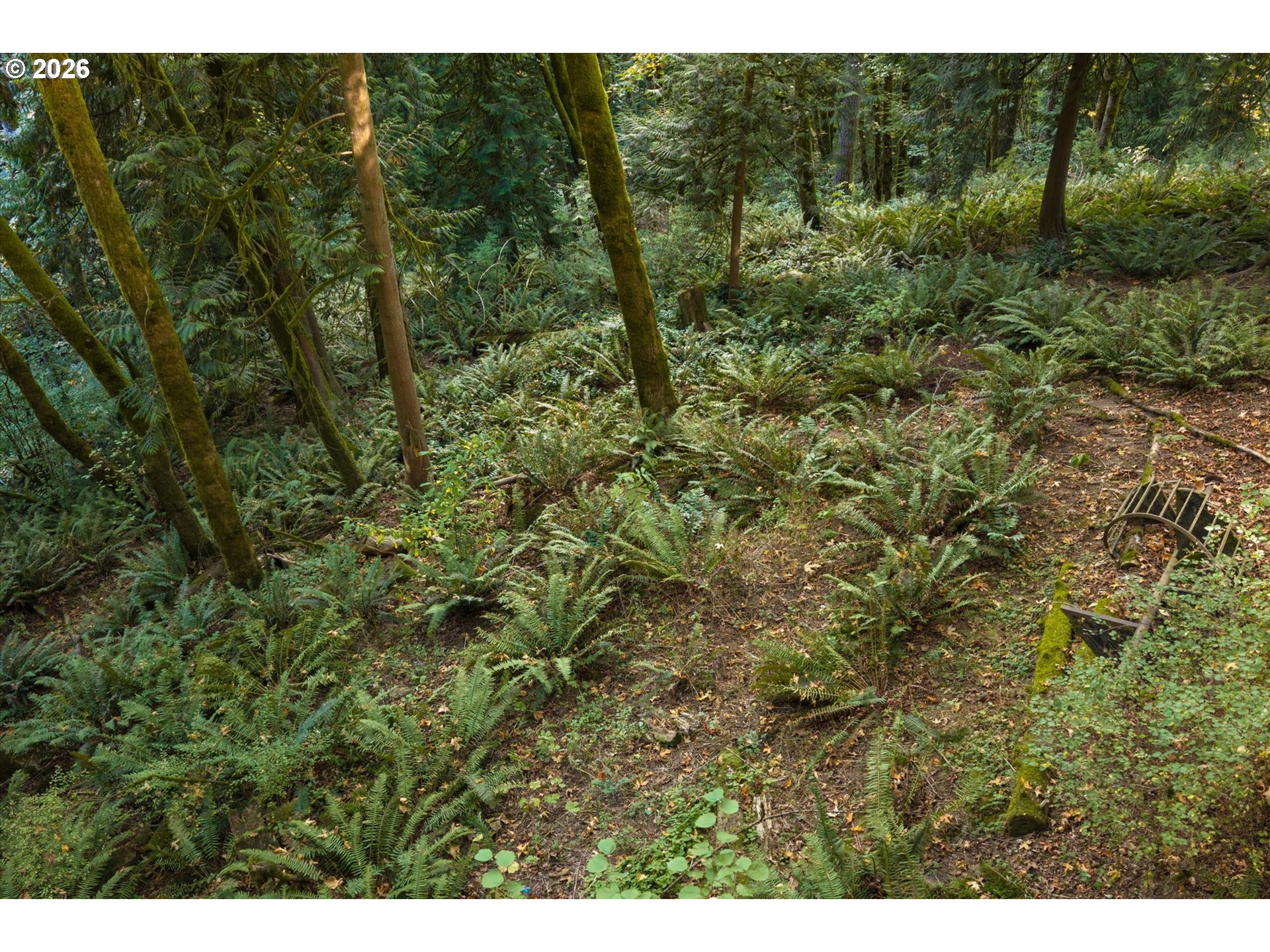 main property photo 47