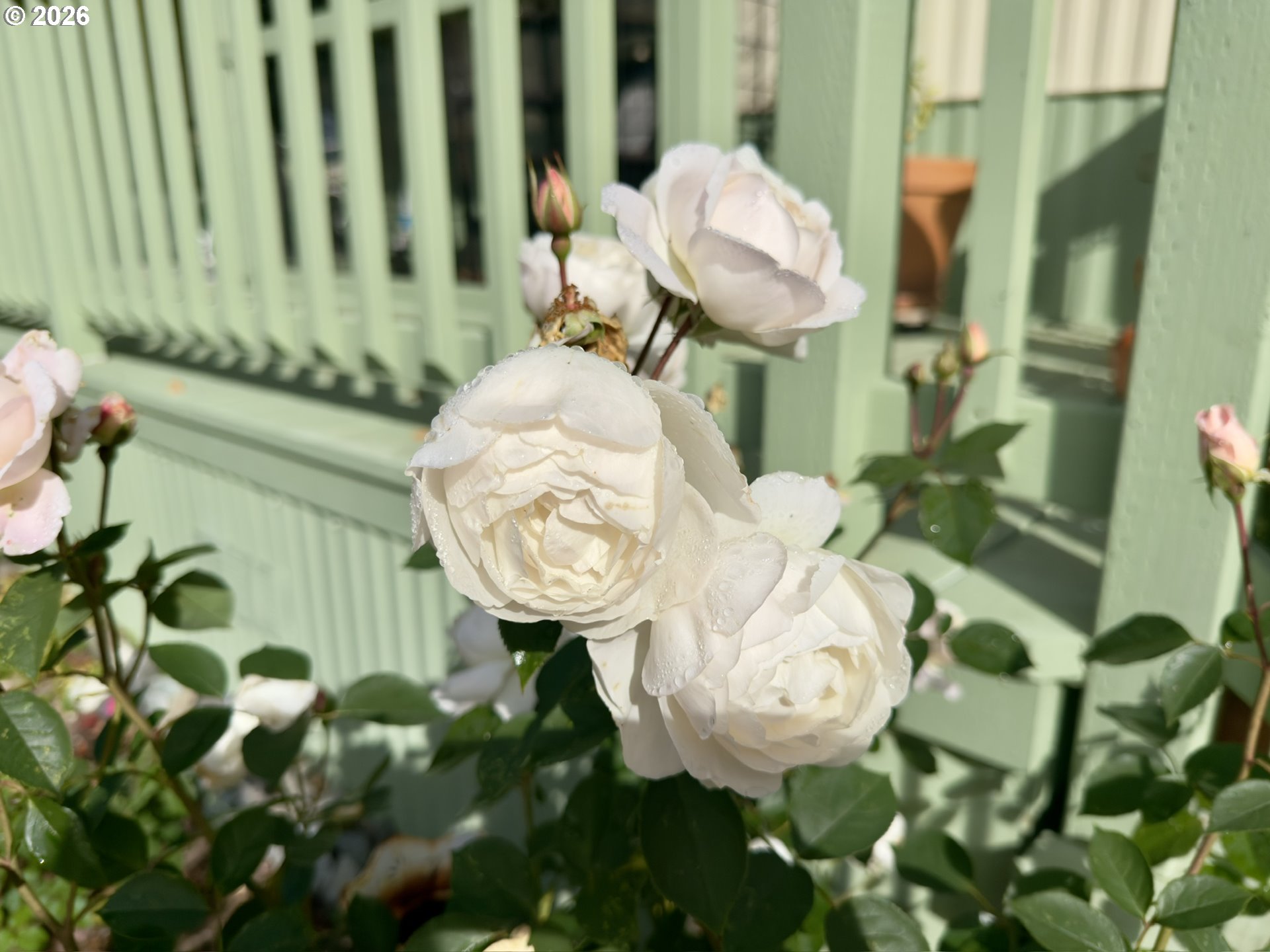 main property photo 41