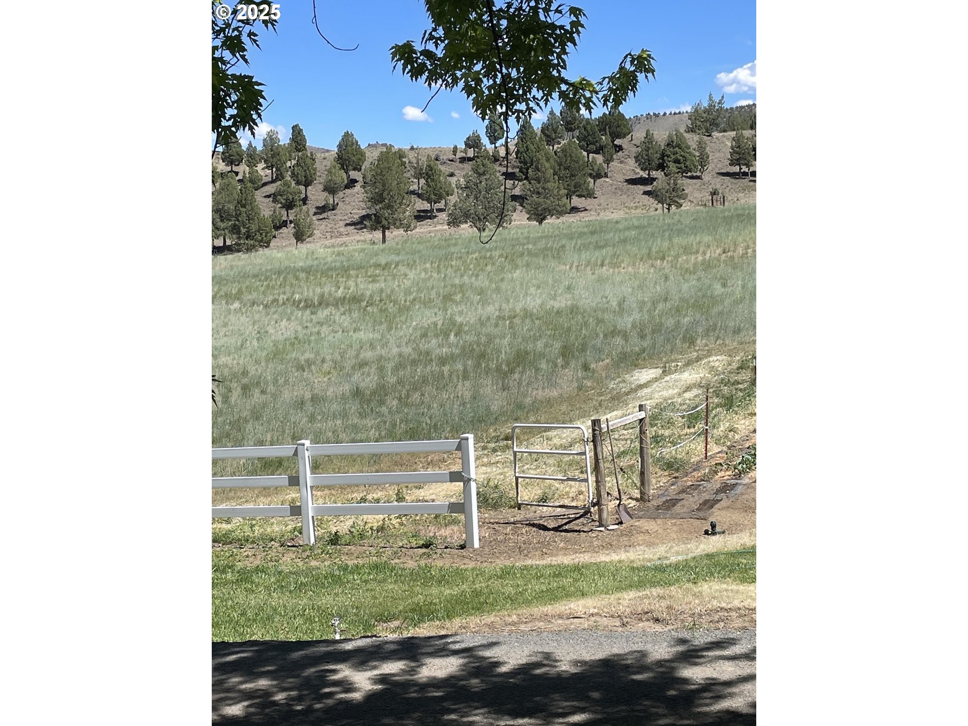 main property photo 46