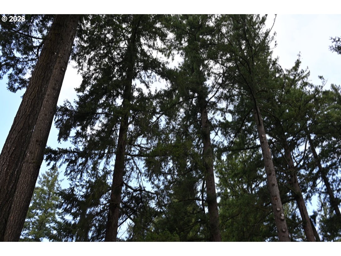 property viewer photo 22
