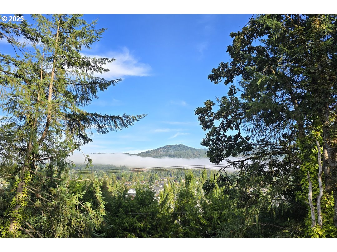 property viewer photo 44