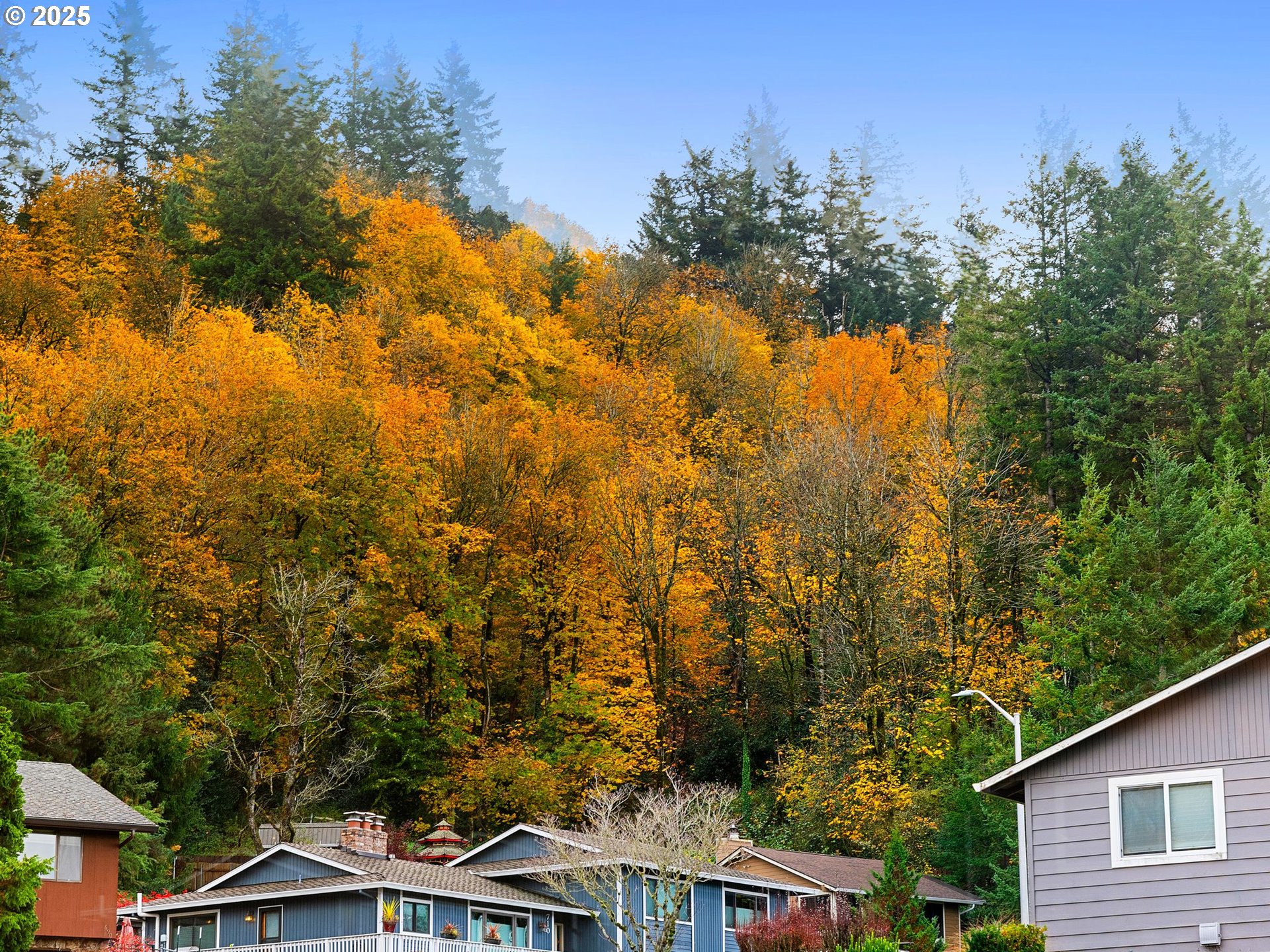 property viewer photo 10