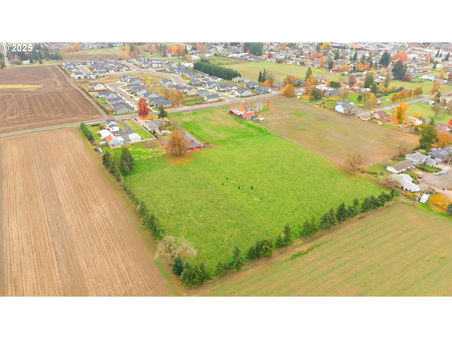 main property photo 12