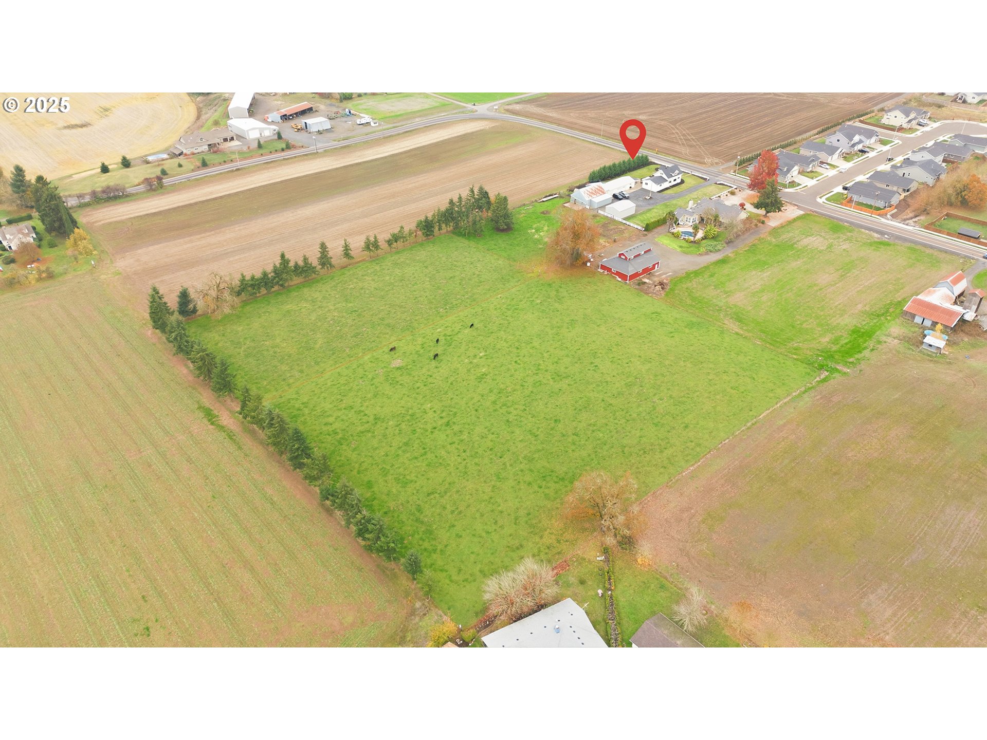 main property photo 9